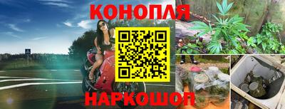 ALPHA PVP Обнинск