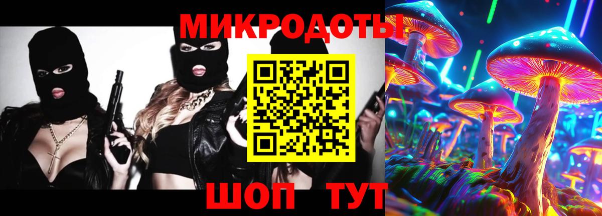 Галлюциногенные грибы Psilocybe Шелехов